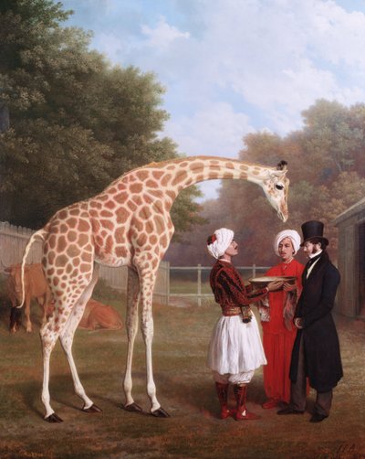 Nubian Giraffe by Jacques Laurent Agasse